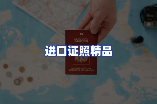 进口证件页面制证
